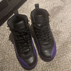 Jordan 12 