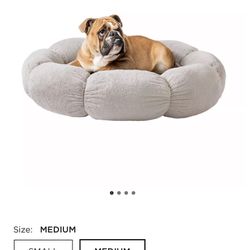 Dog Bed