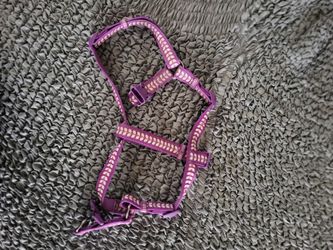 Dog harness, Martha Stewart Pets, large