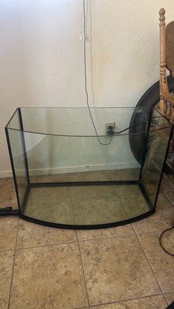 40 gallon fish tank, no lid
