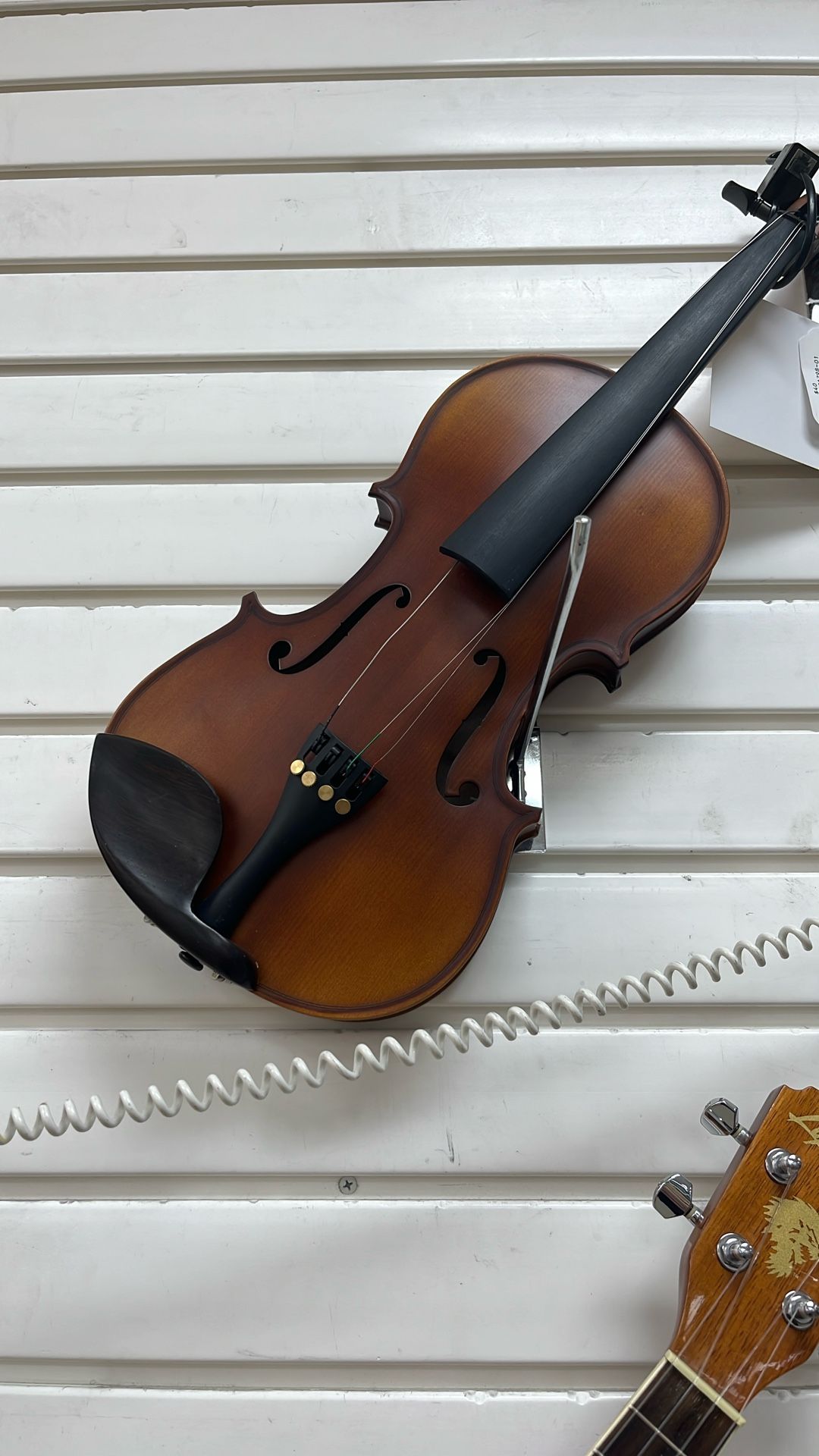 Violin
