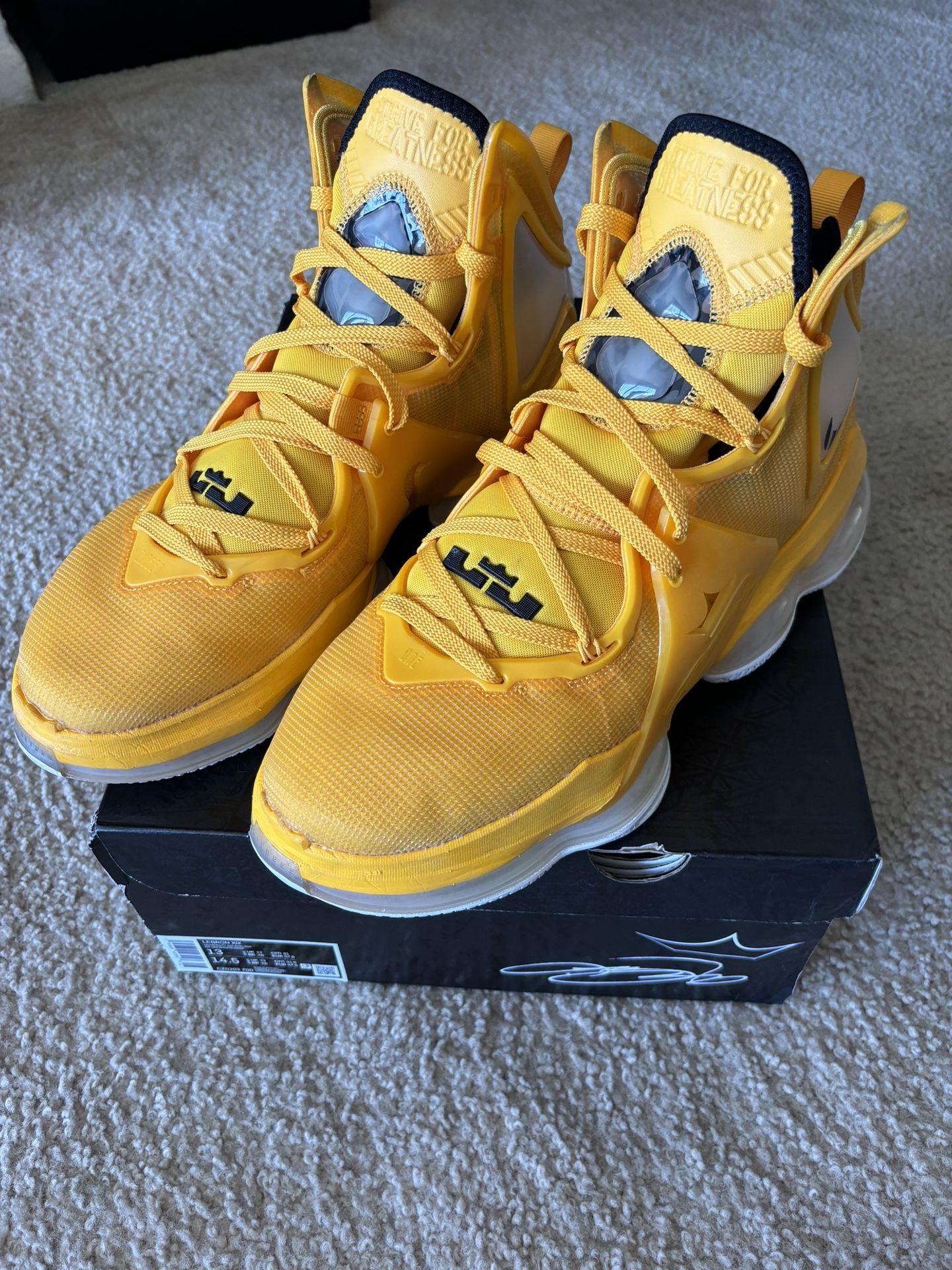 Lebrons (size 13)