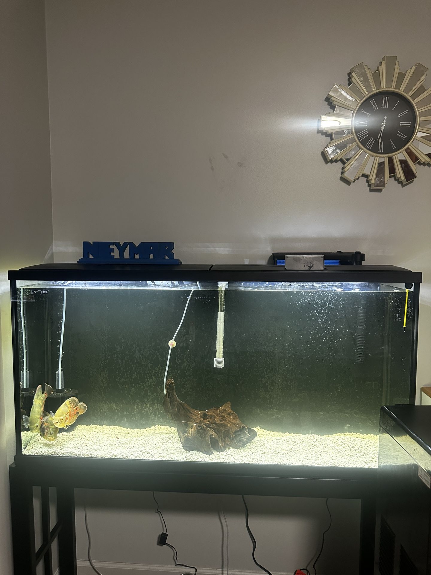 Aquarium And Stand