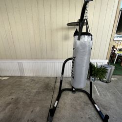 Everlast Punching Bag