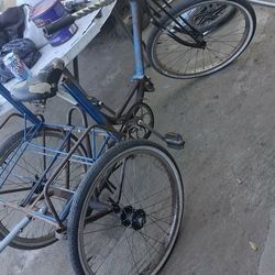 Three Wheeler Project Bike