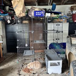 Large Cat Kennel
