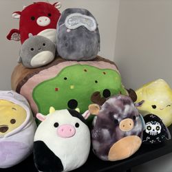 Squishmallow Bundle