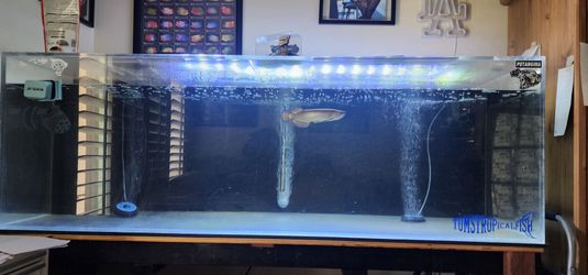 180 gallon aquarium plexiglass