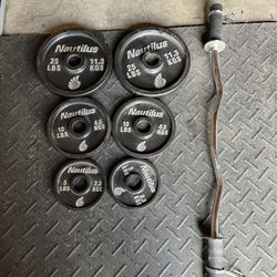 Olympic Weights with Olympic Curling Bar