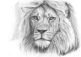 💥💥Drawing Artist Can Draw Anything Your Mind Can Imagine💥💥💥