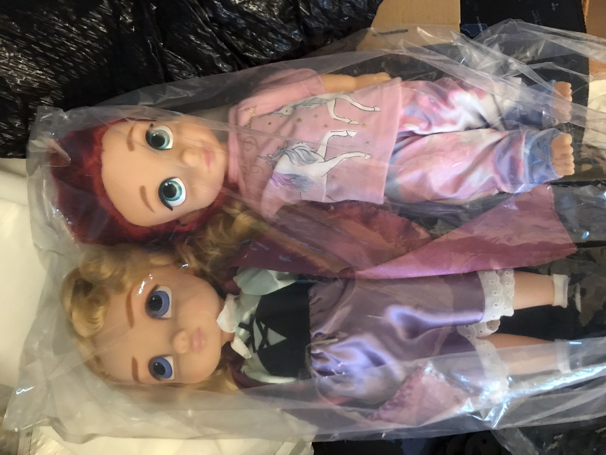 Two Princess Dolls