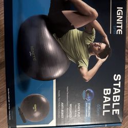 BRAND NEW 65cm Stable Ball