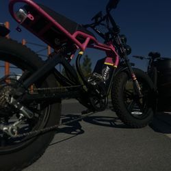 Electric Bike 