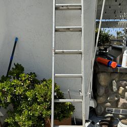 Straight Ladder For Sale