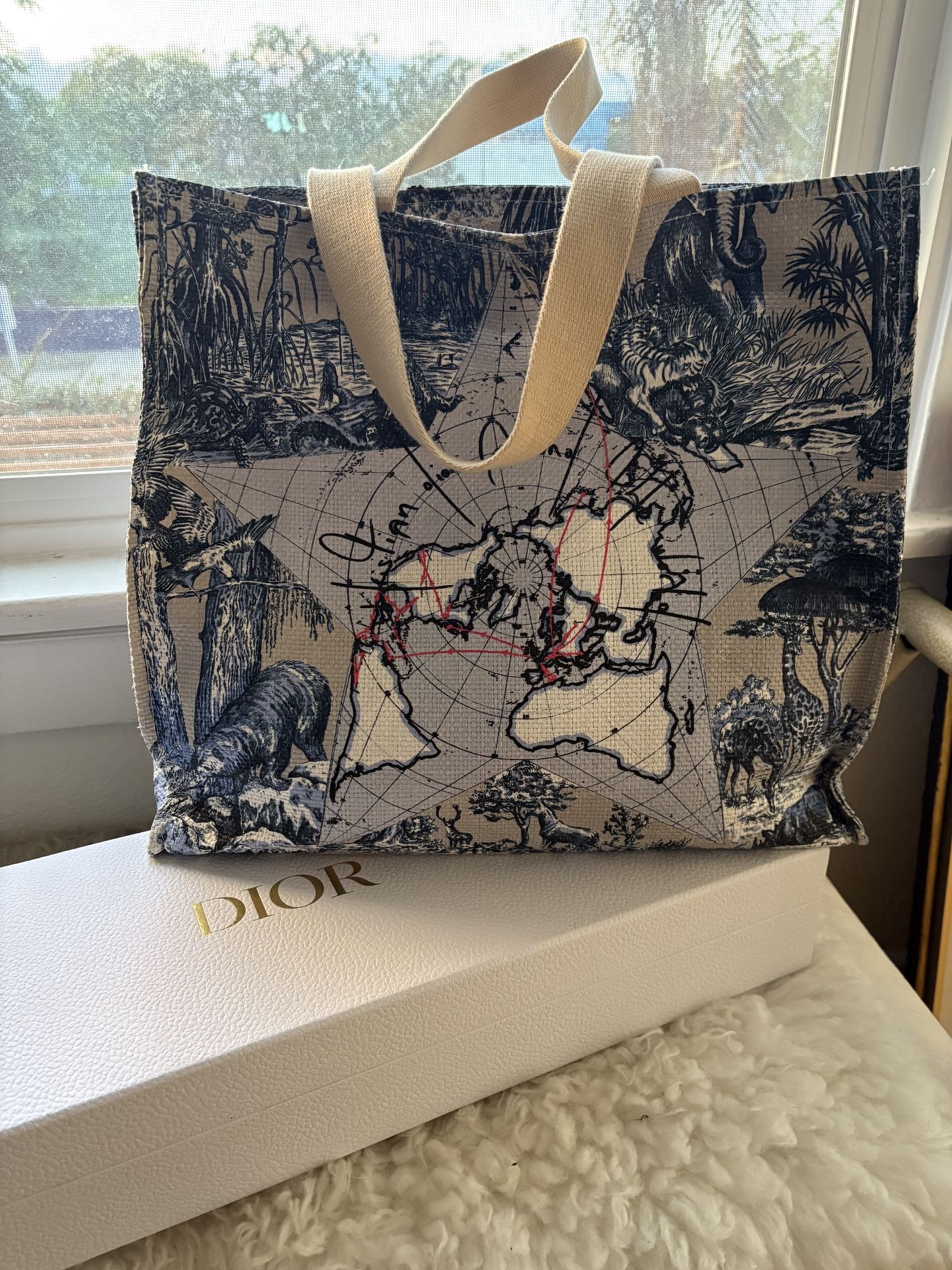 Dior Around The World Tote Bag