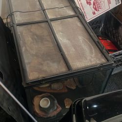 Lizard Or Snack Tank 