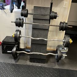Weights & Bars