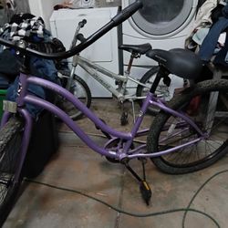 Phat Bike