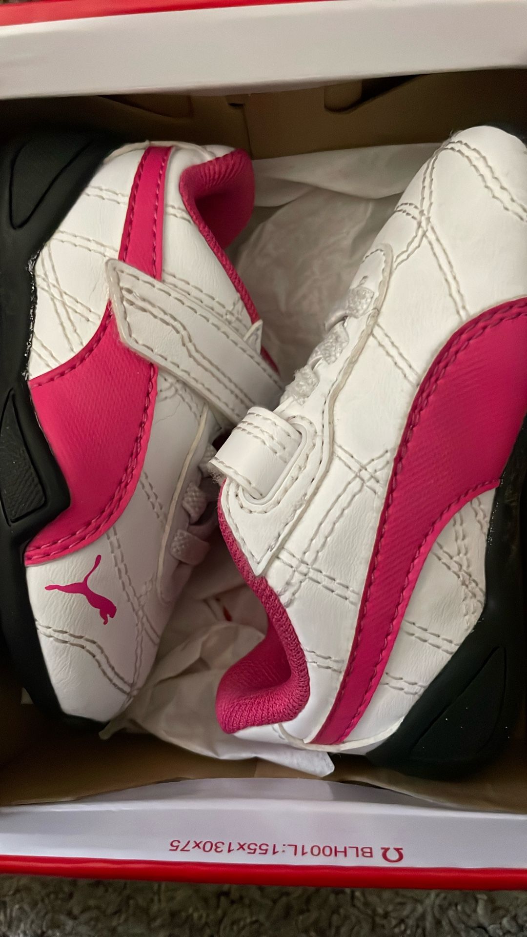 Baby Puma Tune Cat 3