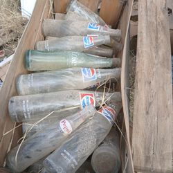 Vintage Pop Bottles 