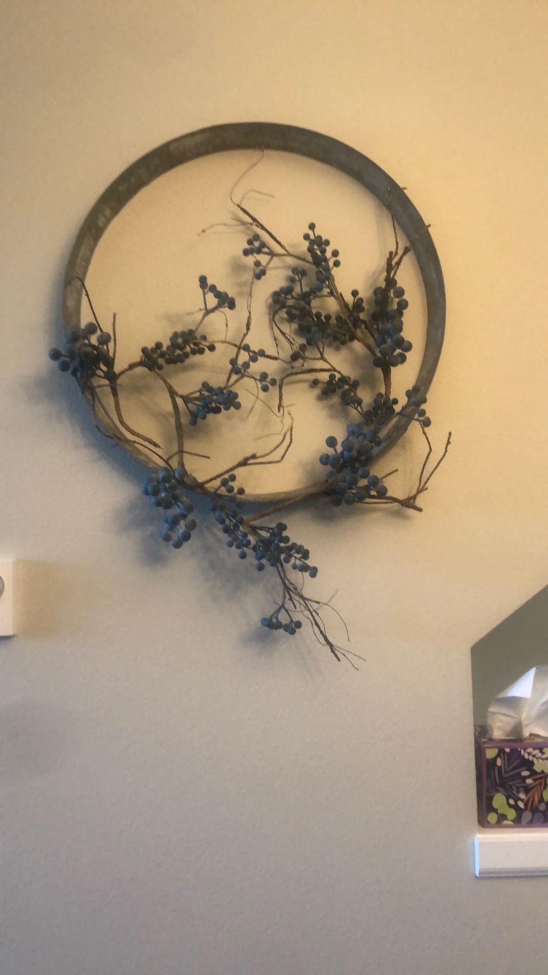 Grapevine