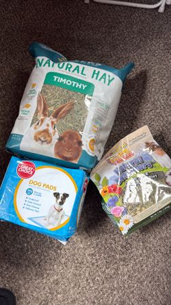 Guinea pig items