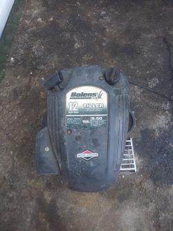 5.5 Briggs/Stratton Motor