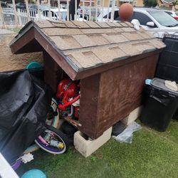 Dog House