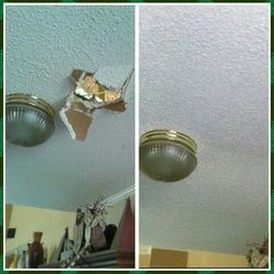 Texture and paint repair