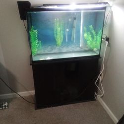 45gal Aquarium Set Up