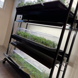 3 Tier Lighted Shelves On Wheels On Wheels 