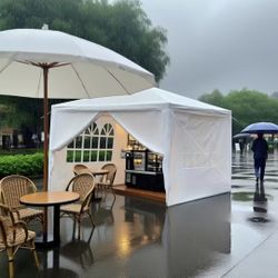 10x10 Outdoor Canopy - 4 Walls And Windows 