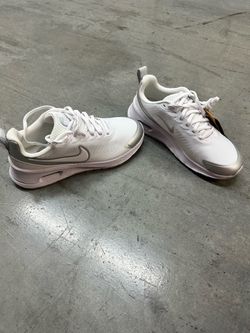 Nike Air Max Low-Top Sneakers White Silver