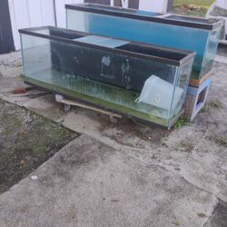 Fish Tank 160 G