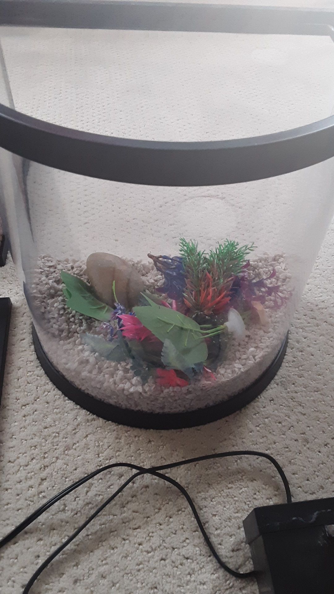 3.5 gallon top fin aquarium
