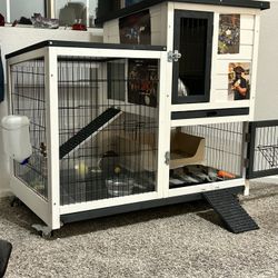 Rabbit cage/ Mansion w Free  rare Blue eyed Rabbits