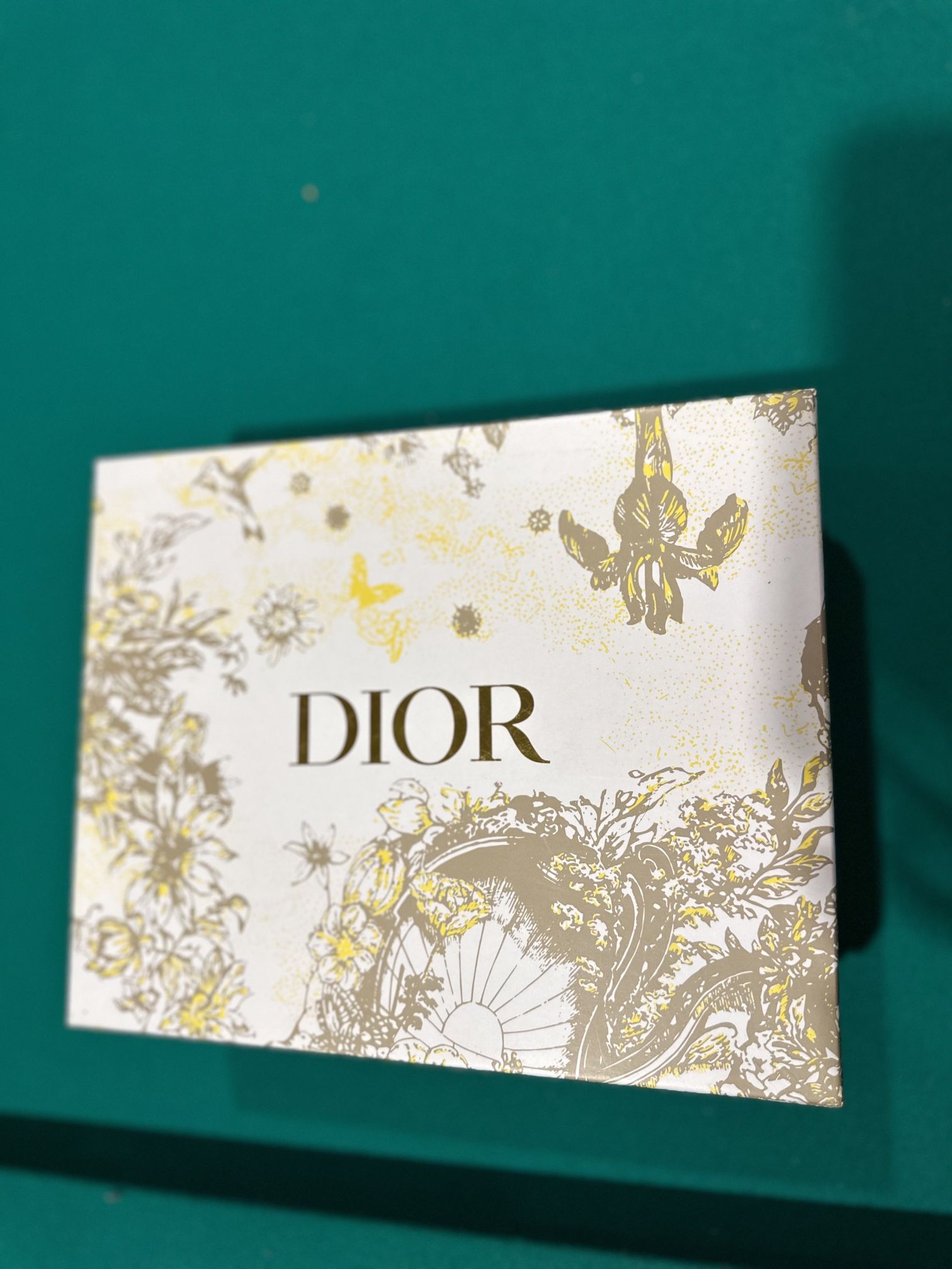 DIOR Saddle Bag
