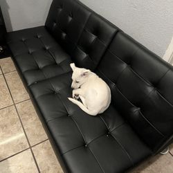 Futton, Couch Bed