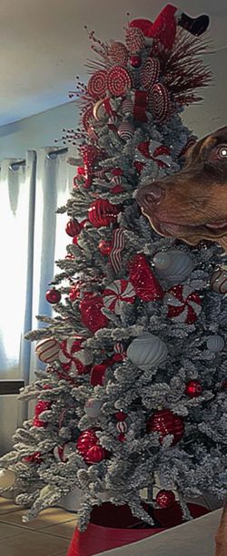 Christmas decorations