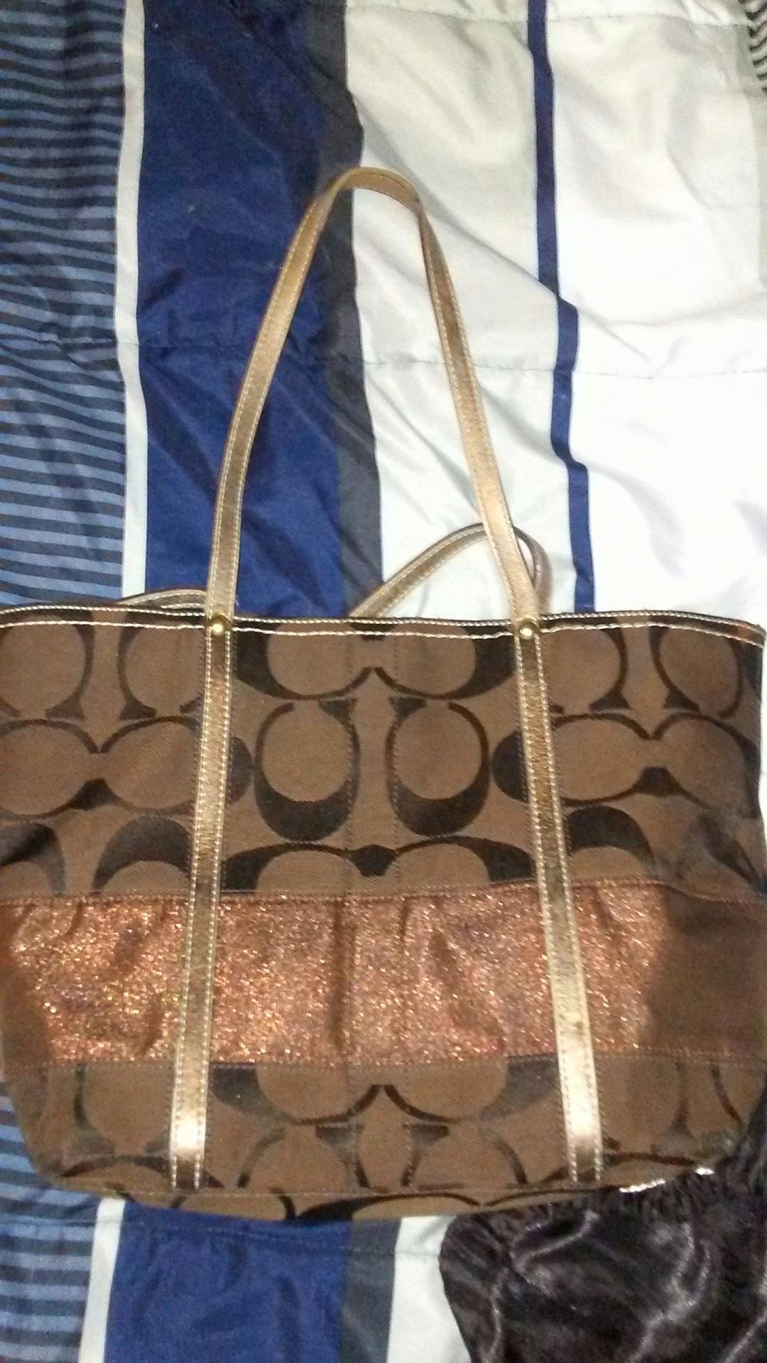 Coach purse with protective bag