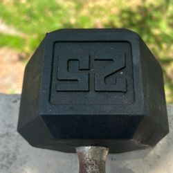25lbs Dumbbell 