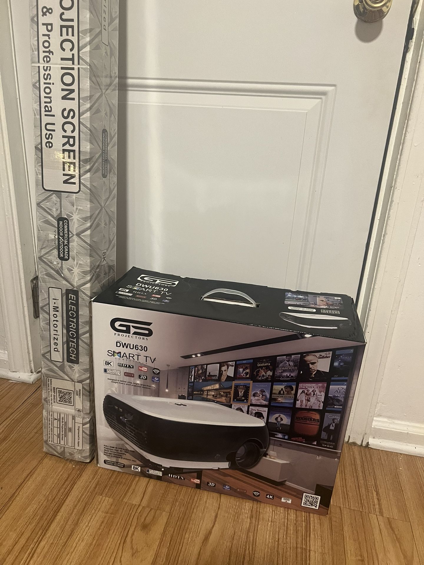 GS Projector with Projection screen
