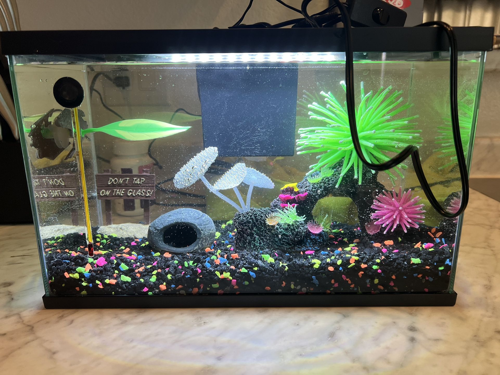 Fish Tank Everything Included