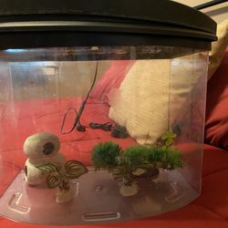 Aquarium And Accessories