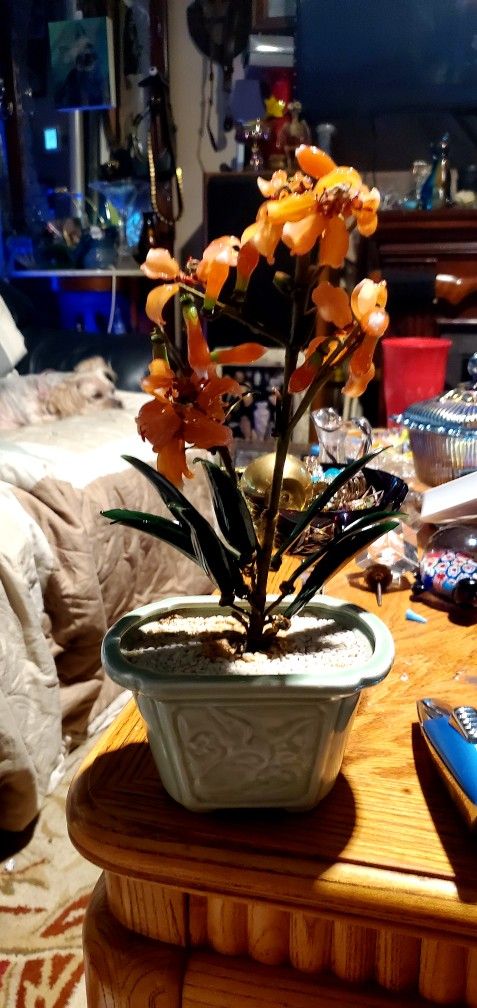 Gorgeous Stunning Peach Flower Jade Glass Tree in Pot