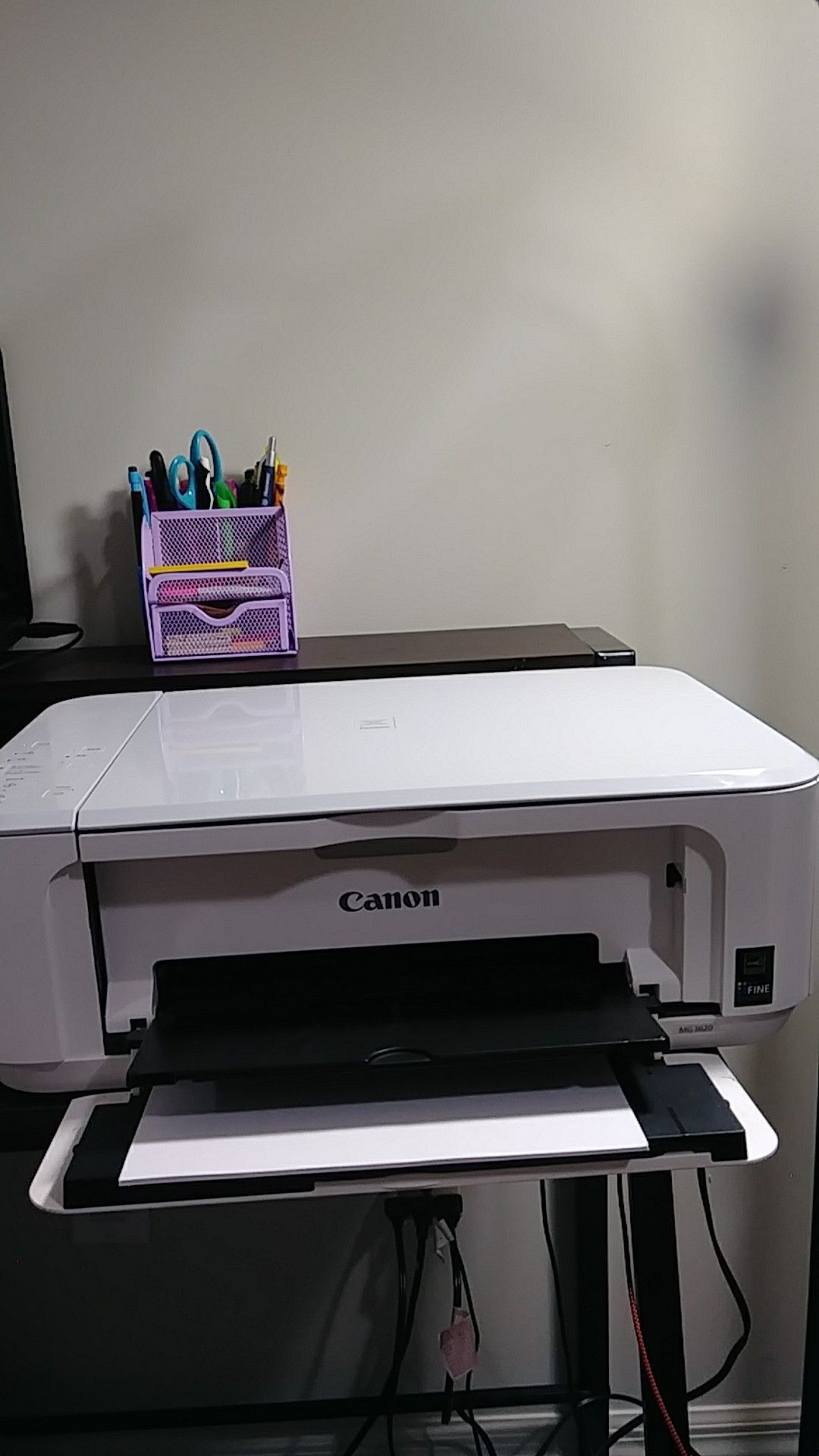 Canon Printer (Need it out)