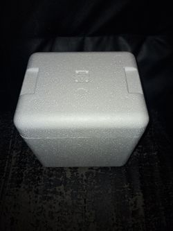 Free Cooler (styrofoam)