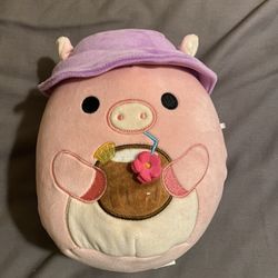Squishmellow Plushie 