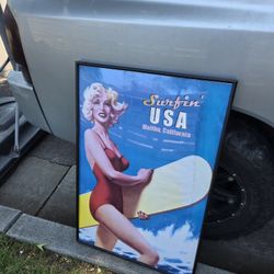 Surfing Usa Cool Poster 