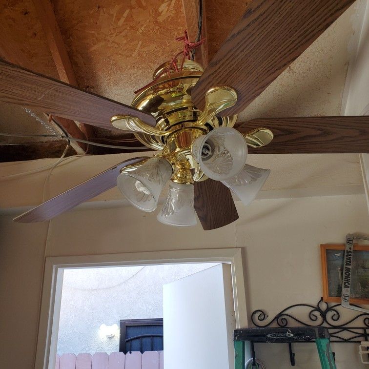 Ceiling Fans